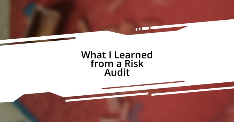 What I Learned from a Risk Audit