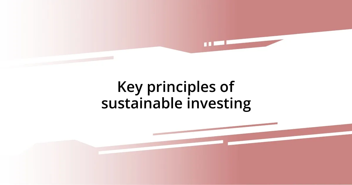 Key principles of sustainable investing